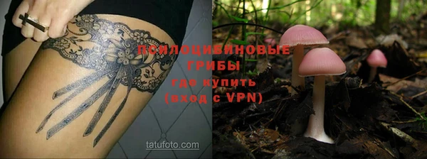 мяу мяу кристалл Арсеньев