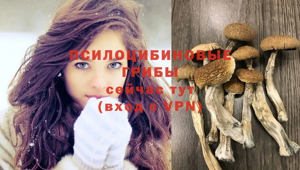 прущий лед Алексеевка