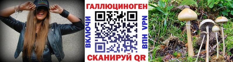 Псилоцибиновые грибы MAGIC MUSHROOMS  Ленинск-Кузнецкий 